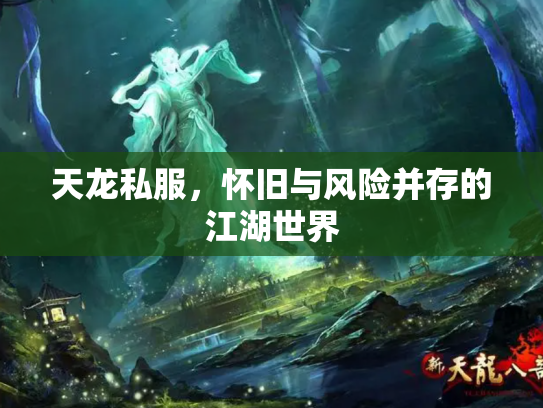 天龙私服，怀旧与风险并存的江湖世界