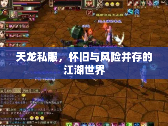 天龙私服，怀旧与风险并存的江湖世界