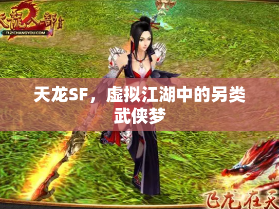 天龙SF，虚拟江湖中的另类武侠梦