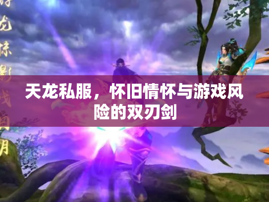 天龙私服，怀旧情怀与游戏风险的双刃剑