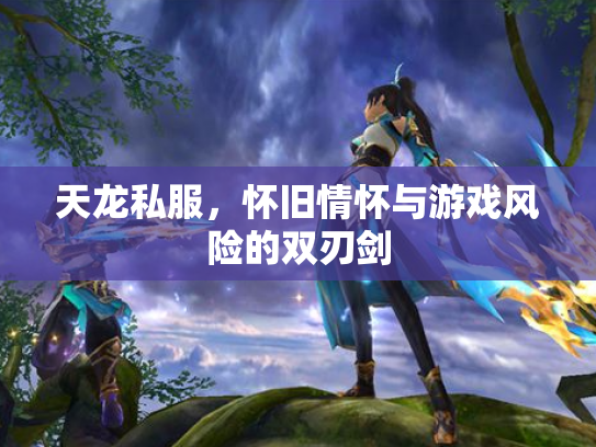 天龙私服，怀旧情怀与游戏风险的双刃剑