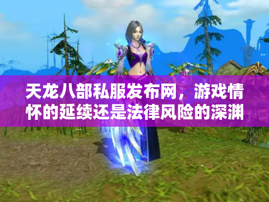 天龙八部私服发布网，游戏情怀的延续还是法律风险的深渊？