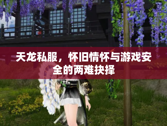 天龙私服，怀旧情怀与游戏安全的两难抉择