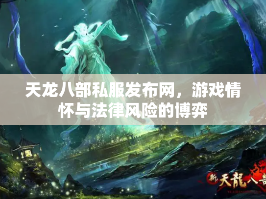 天龙八部私服发布网，游戏情怀与法律风险的博弈