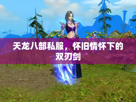 天龙八部私服，怀旧情怀下的双刃剑