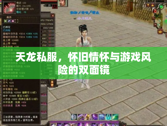 天龙私服，怀旧情怀与游戏风险的双面镜