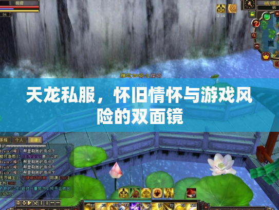 天龙私服，怀旧情怀与游戏风险的双面镜