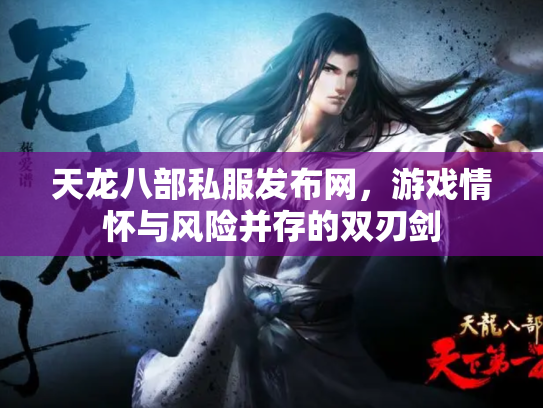 天龙八部私服发布网，游戏情怀与风险并存的双刃剑