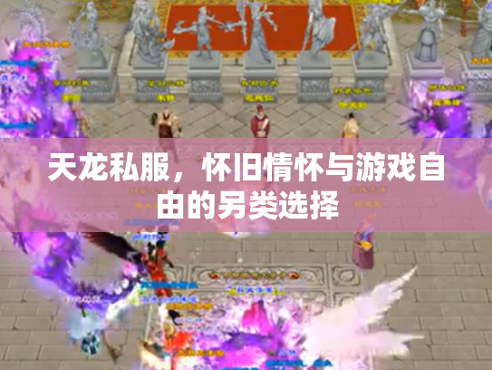 天龙私服，怀旧情怀与游戏自由的另类选择