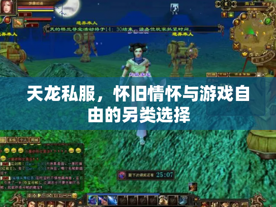 天龙私服，怀旧情怀与游戏自由的另类选择