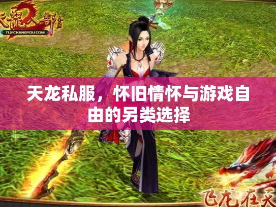 天龙私服，怀旧情怀与游戏自由的另类选择