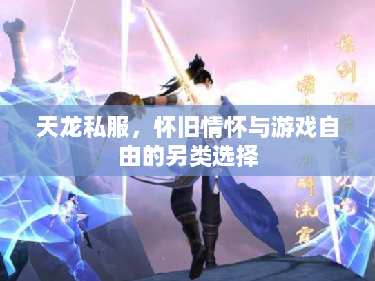 天龙私服，怀旧情怀与游戏自由的另类选择