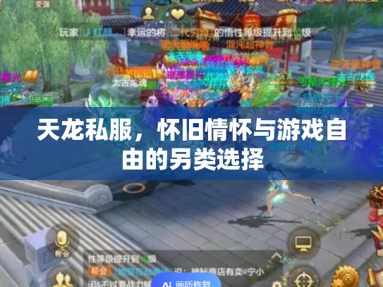天龙私服，怀旧情怀与游戏自由的另类选择