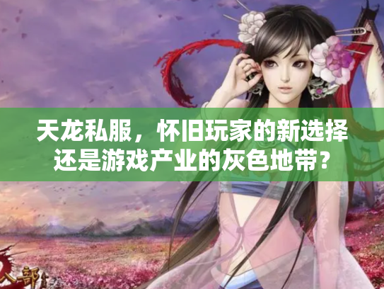 天龙私服，怀旧玩家的新选择还是游戏产业的灰色地带？