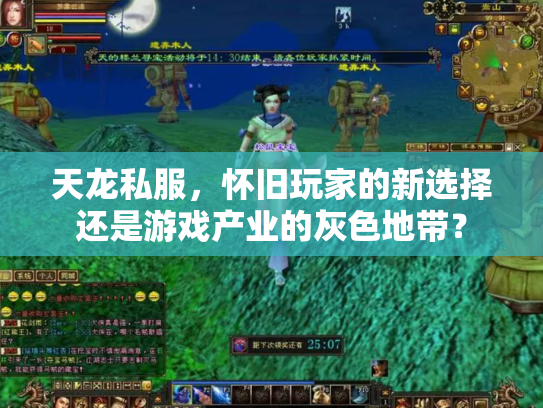 天龙私服，怀旧玩家的新选择还是游戏产业的灰色地带？