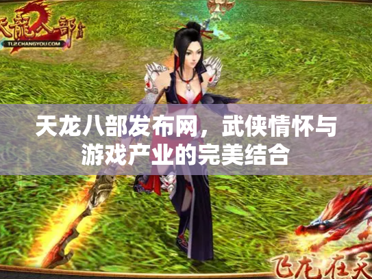 天龙八部发布网，武侠情怀与游戏产业的完美结合
