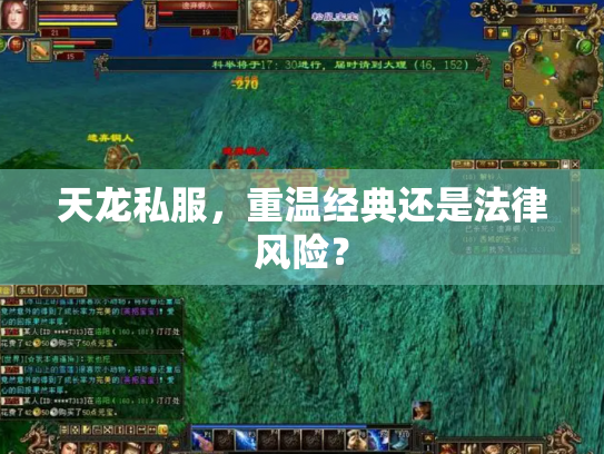 天龙私服，重温经典还是法律风险？
