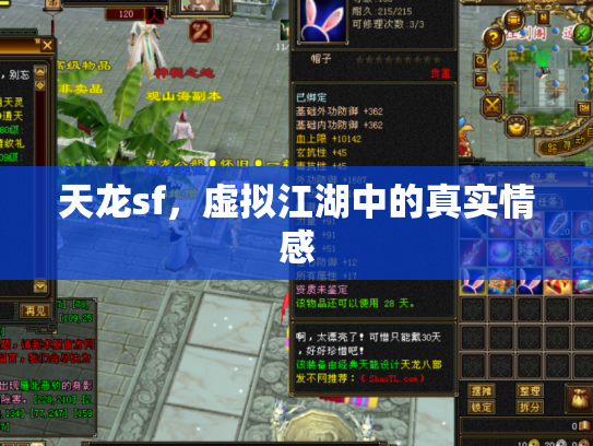 天龙sf，虚拟江湖中的真实情感