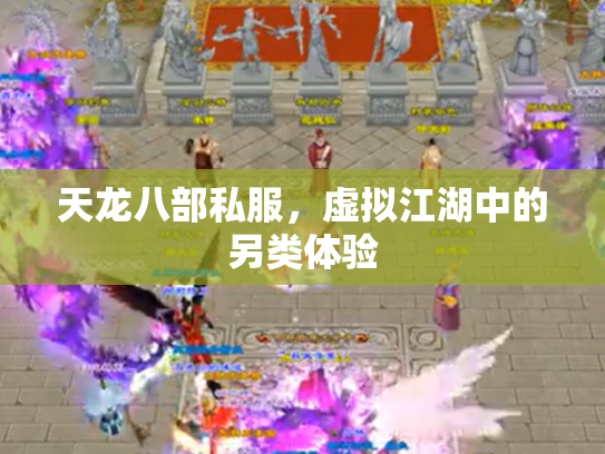 天龙八部私服，虚拟江湖中的另类体验