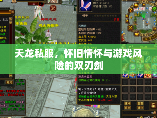 天龙私服，怀旧情怀与游戏风险的双刃剑