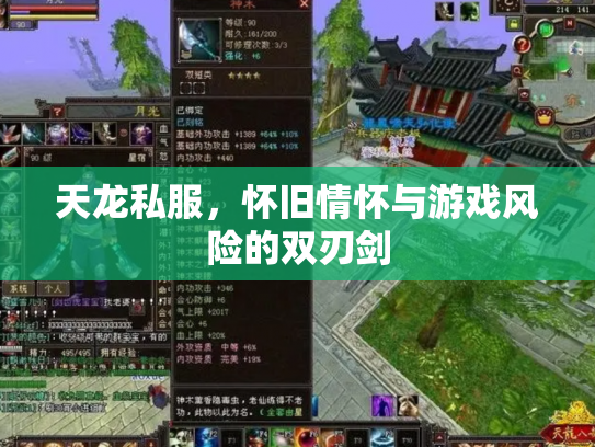 天龙私服，怀旧情怀与游戏风险的双刃剑