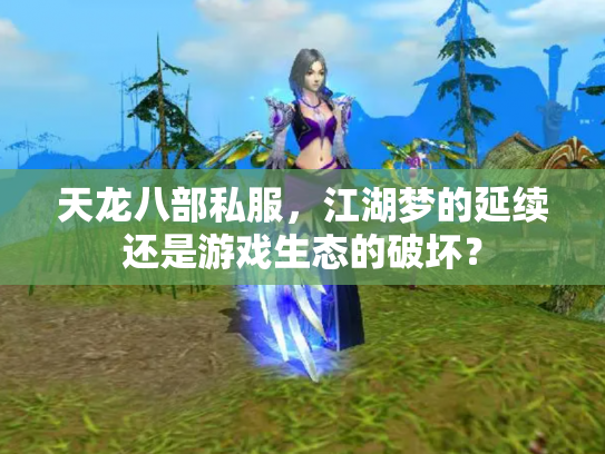 天龙八部私服，江湖梦的延续还是游戏生态的破坏？