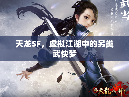 天龙SF，虚拟江湖中的另类武侠梦