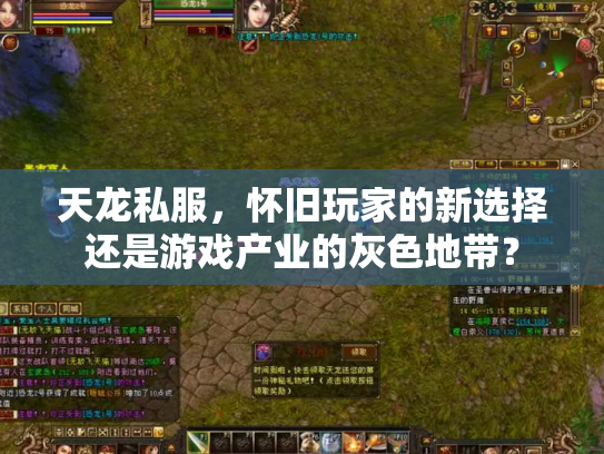 天龙私服，怀旧玩家的新选择还是游戏产业的灰色地带？