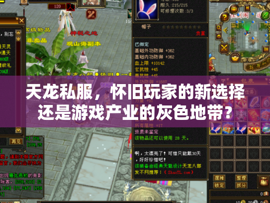 天龙私服，怀旧玩家的新选择还是游戏产业的灰色地带？