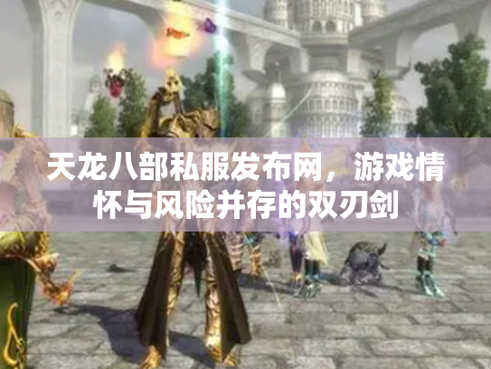 天龙八部私服发布网，游戏情怀与风险并存的双刃剑