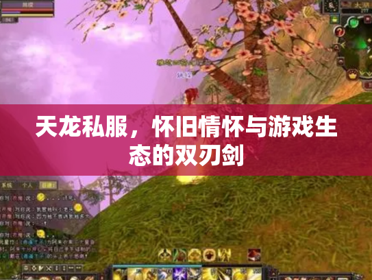 天龙私服，怀旧情怀与游戏生态的双刃剑