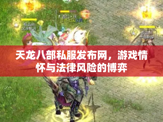 天龙八部私服发布网，游戏情怀与法律风险的博弈