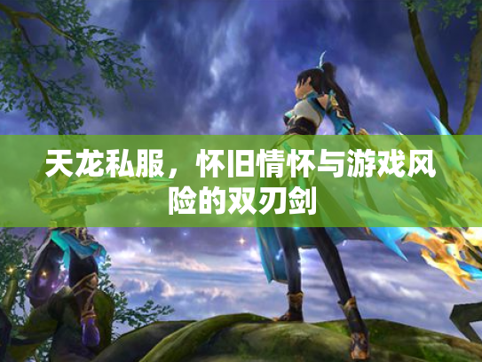 天龙私服，怀旧情怀与游戏风险的双刃剑