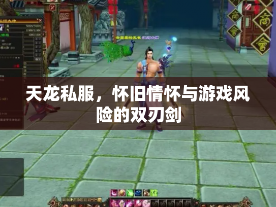 天龙私服，怀旧情怀与游戏风险的双刃剑