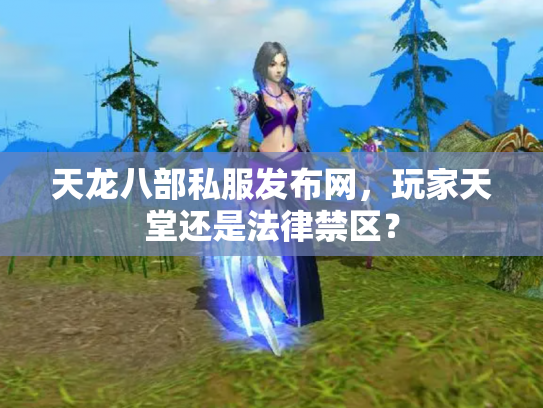 天龙八部私服发布网，玩家天堂还是法律禁区？