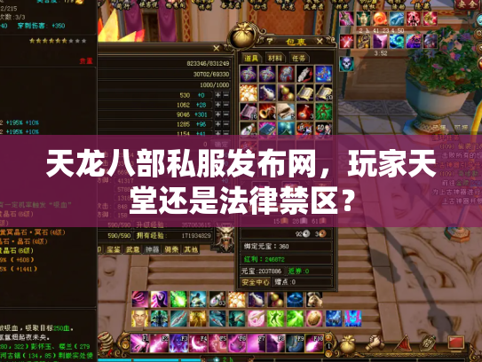 天龙八部私服发布网，玩家天堂还是法律禁区？