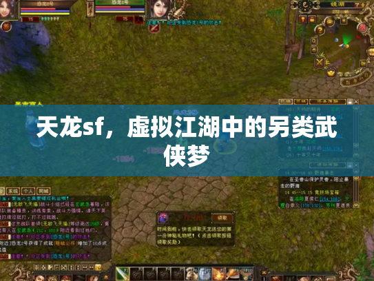 天龙sf，虚拟江湖中的另类武侠梦