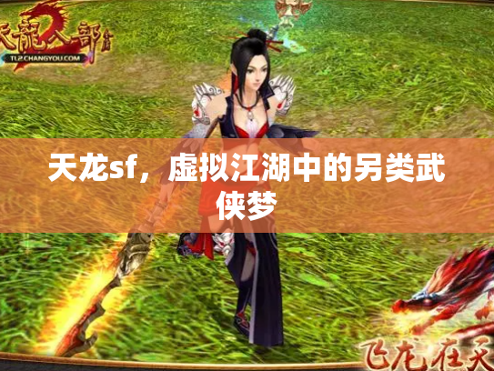天龙sf，虚拟江湖中的另类武侠梦