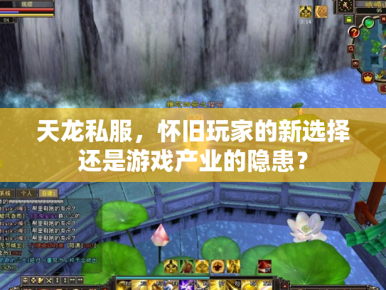 天龙私服，怀旧玩家的新选择还是游戏产业的隐患？