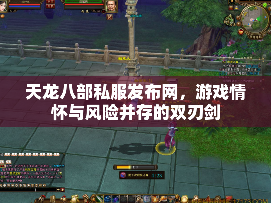 天龙八部私服发布网，游戏情怀与风险并存的双刃剑