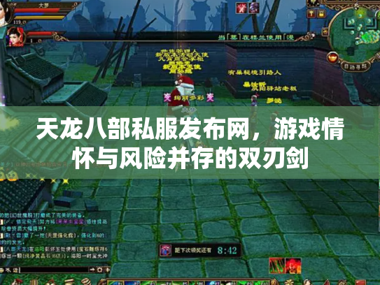 天龙八部私服发布网，游戏情怀与风险并存的双刃剑