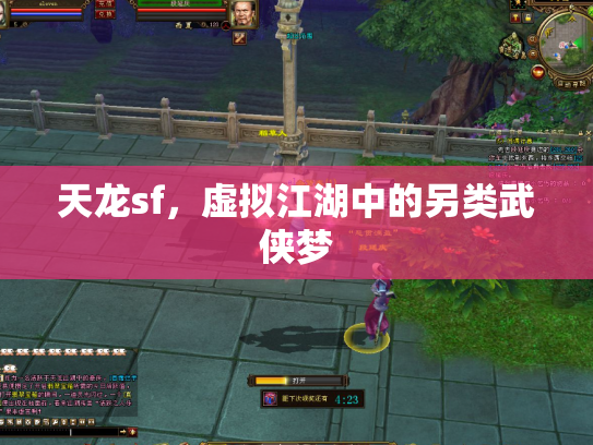 天龙sf，虚拟江湖中的另类武侠梦