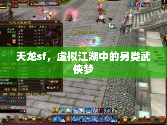 天龙sf，虚拟江湖中的另类武侠梦