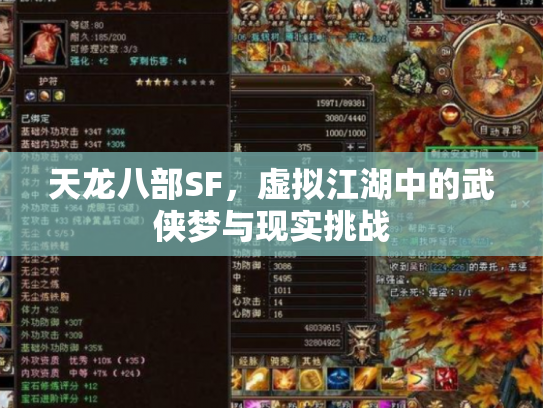 天龙八部SF，虚拟江湖中的武侠梦与现实挑战