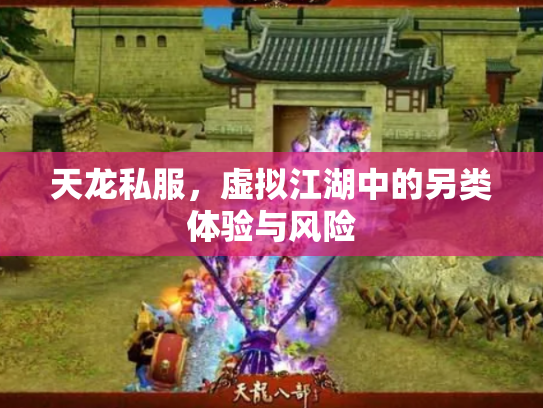 天龙私服，虚拟江湖中的另类体验与风险