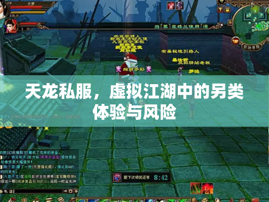 天龙私服，虚拟江湖中的另类体验与风险