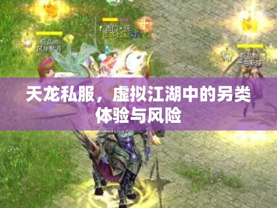 天龙私服，虚拟江湖中的另类体验与风险