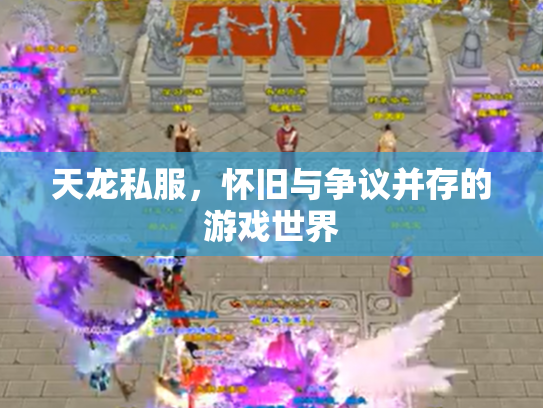 天龙私服，怀旧与争议并存的游戏世界