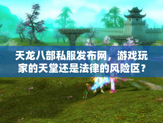 天龙八部私服发布网，游戏玩家的天堂还是法律的风险区？