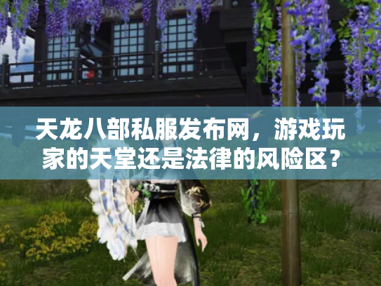 天龙八部私服发布网，游戏玩家的天堂还是法律的风险区？
